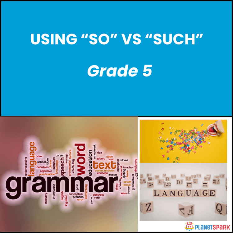 Class 5 English Grammar Worksheet on So Vs Such