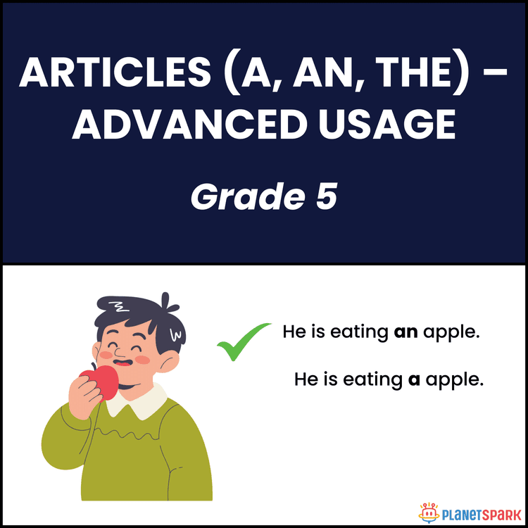 Class 5 English Worksheet on Advanced Article Usage