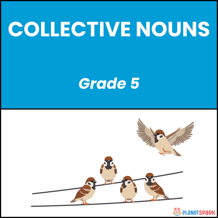 Class 5 English Worksheet on Collective Nouns