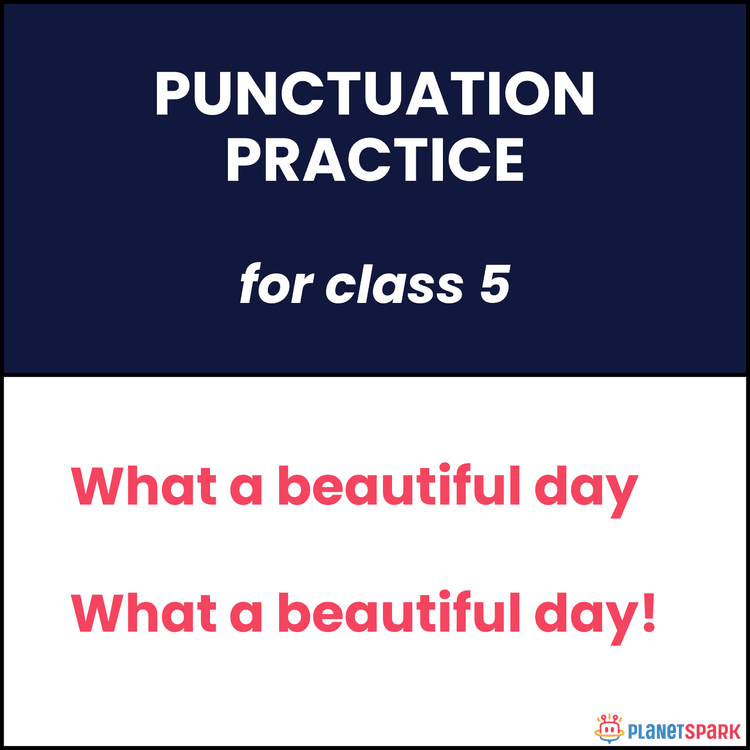 Class 5 English Worksheet on Punctuation Practice