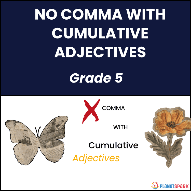 Class 5 Grammar Worksheet on Cumulative Adjectives