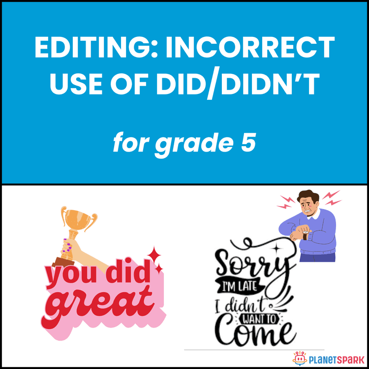 Class 5 Grammar Worksheet on Did and Did Not