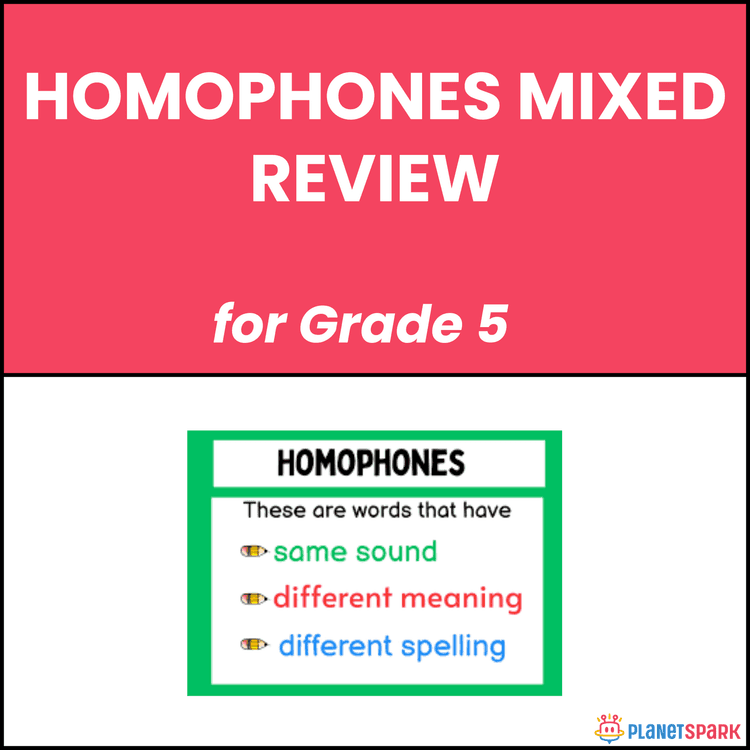 Class 5 Homophones Mixed Review Grammar Worksheet