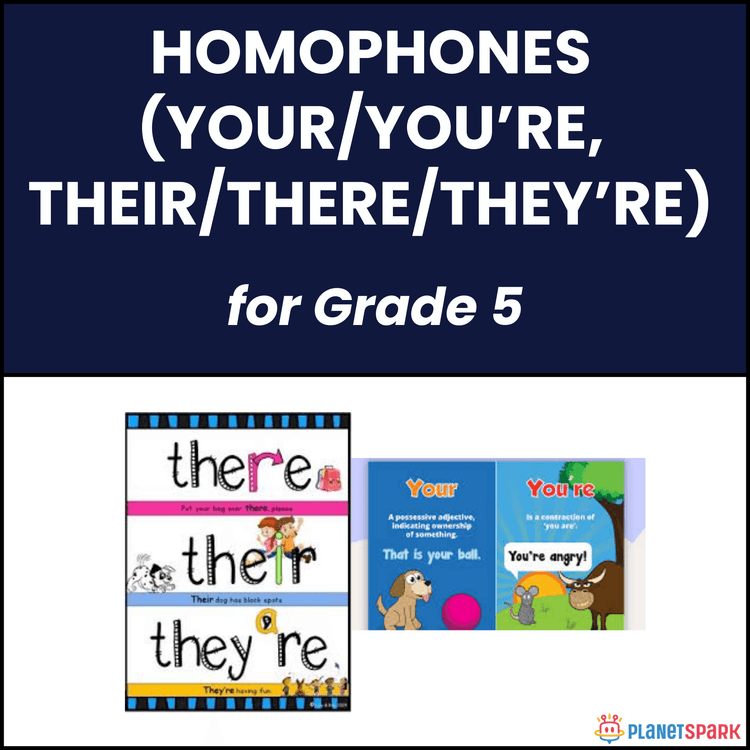 Class 5 Homophones Your You’re Their There Worksheet