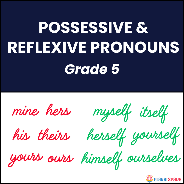 Class 5 Possessive and Reflexive Pronouns Worksheet