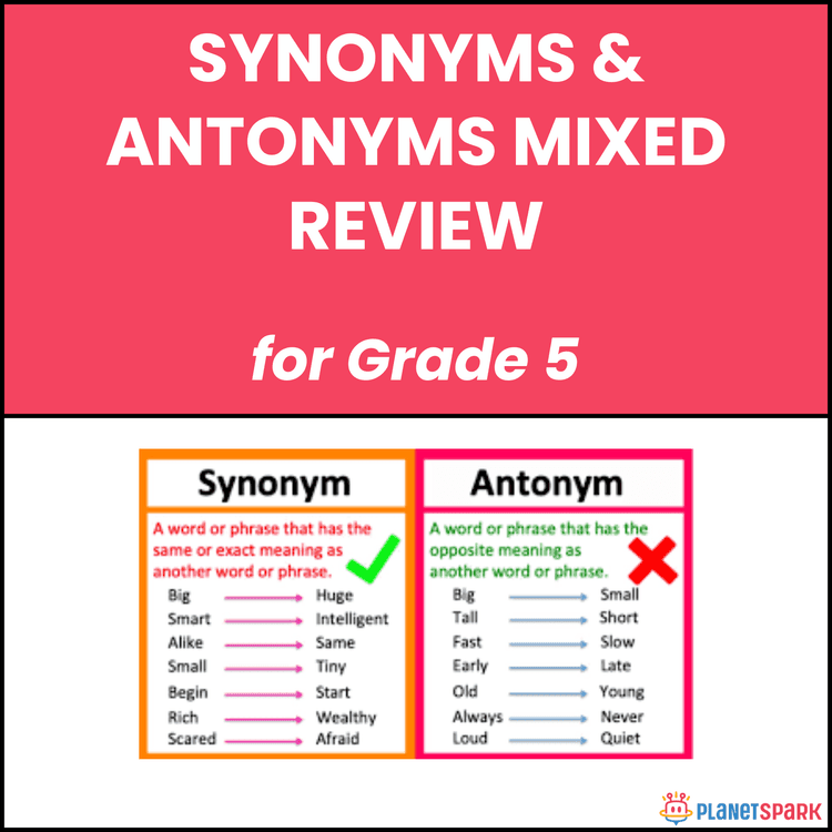 Class 5 Synonyms and Antonyms Mixed Review Worksheet