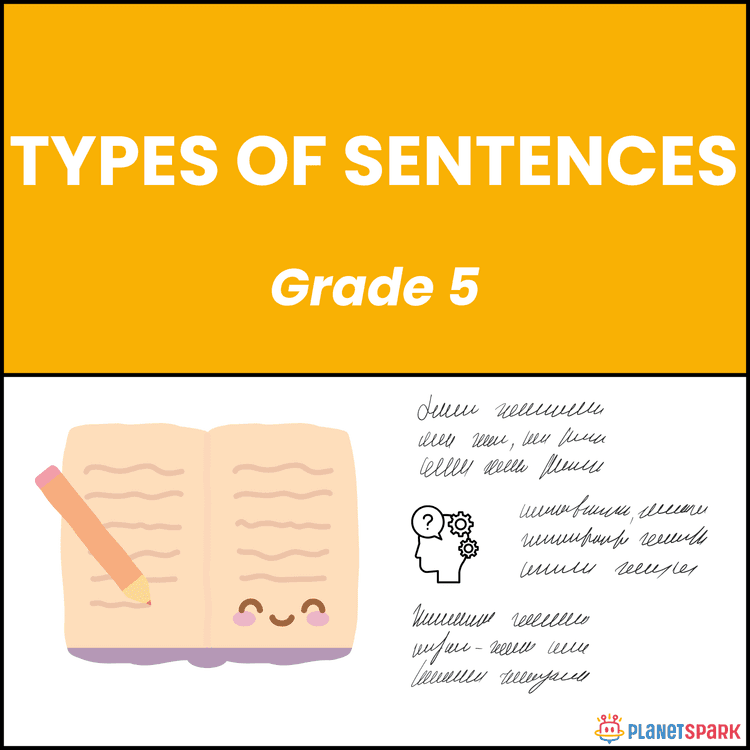 Class 5 Types of Sentences Grammar Worksheet