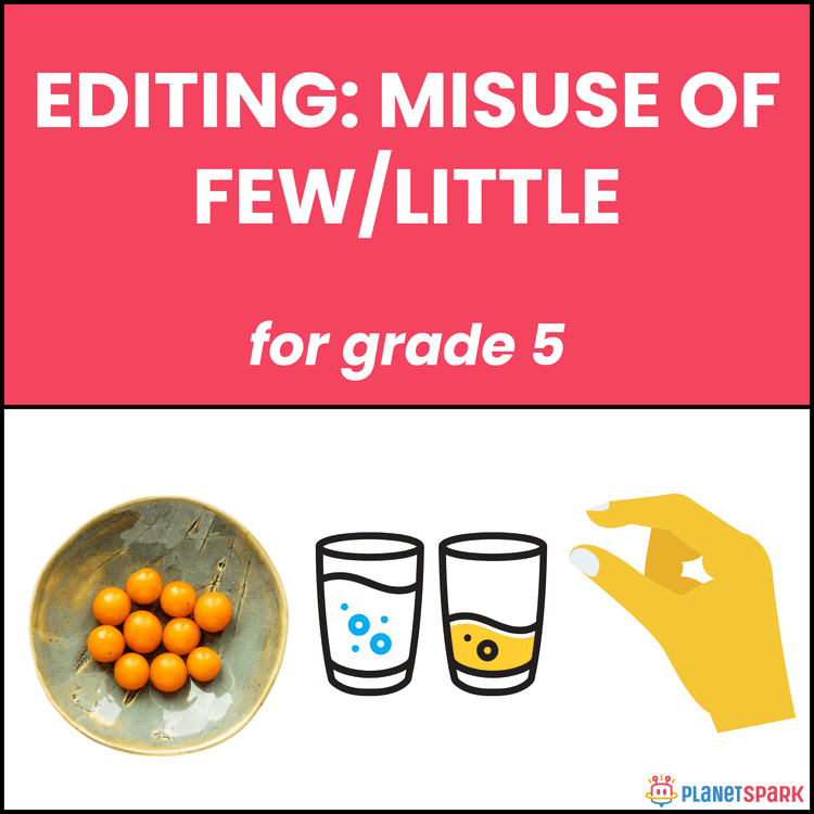 Class 5 Worksheet On Editing: Misuse of Few/Little