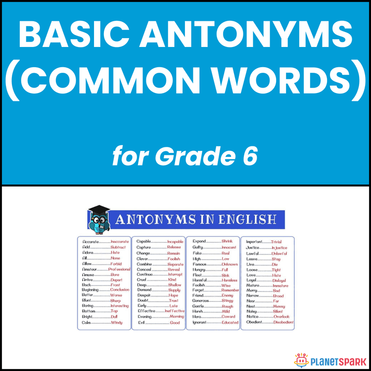 Class 6 Basic Antonyms Common Words Worksheet