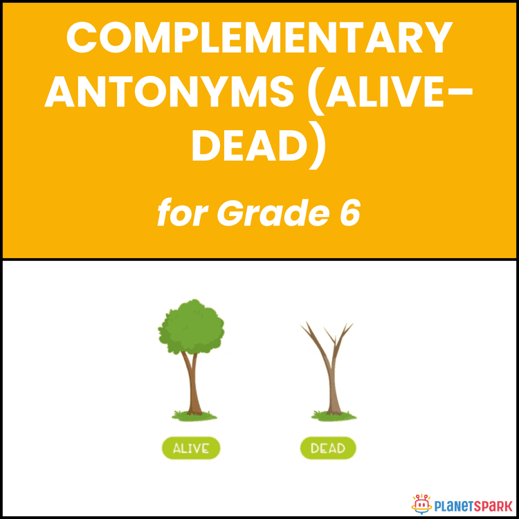 Class 6 Complementary Antonyms English Worksheet