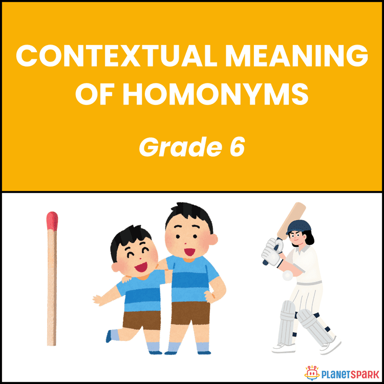 Class 6 Contextual Meaning of Homonyms Worksheet