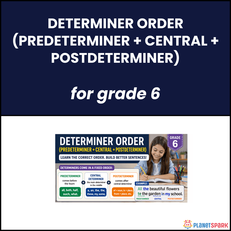 Class 6 English Grammar Worksheet on Determiner Order