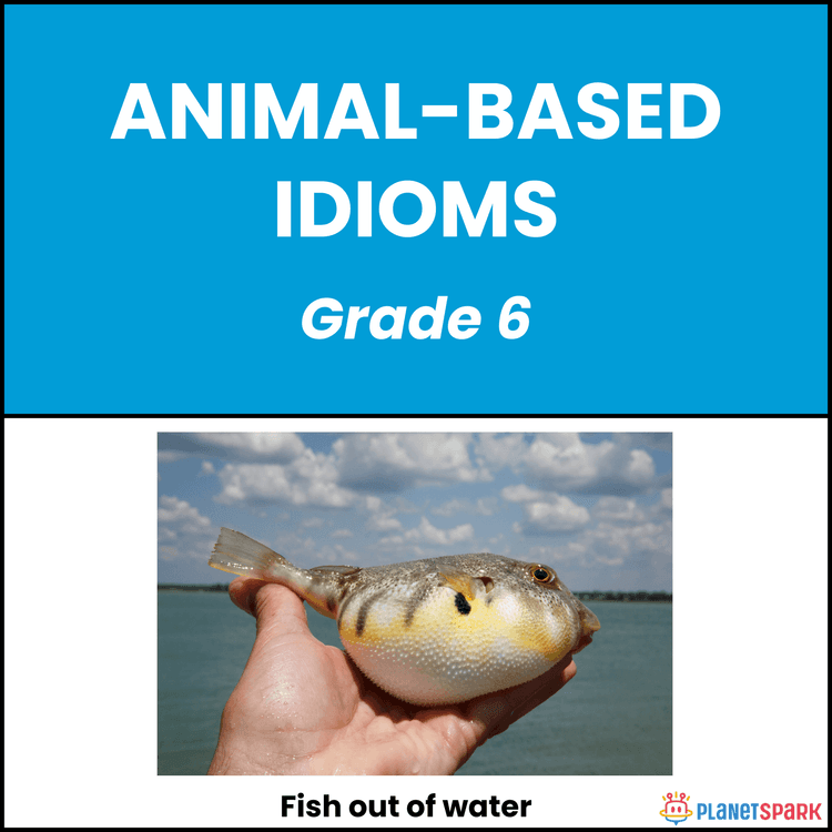 Class 6 Grammar Worksheet on Animal-Based Idioms