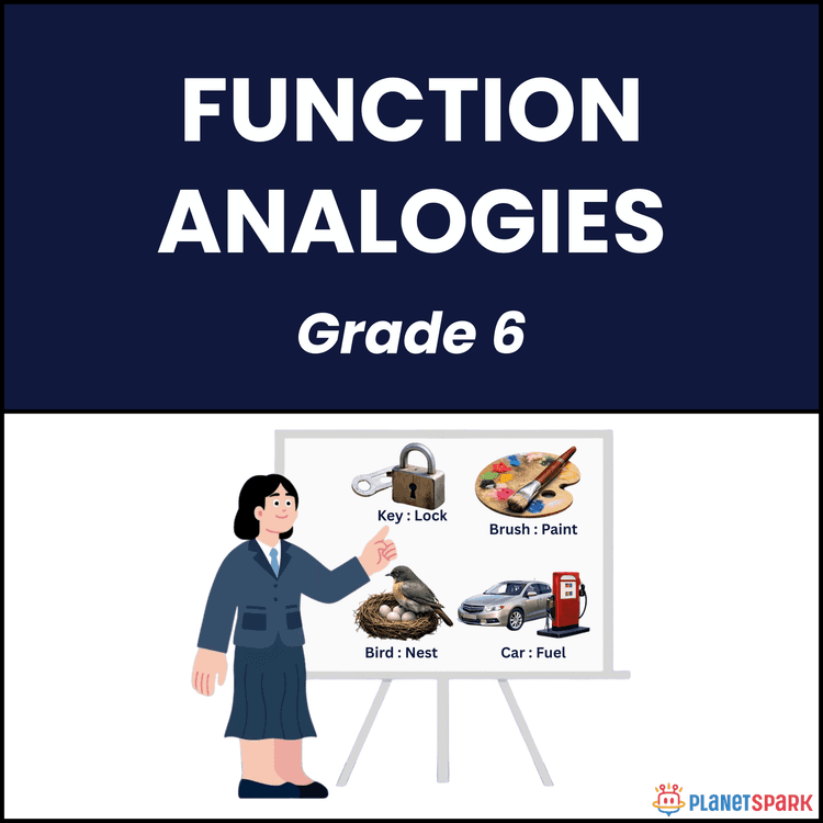 Class 6 Grammar Worksheet on Function Analogies
