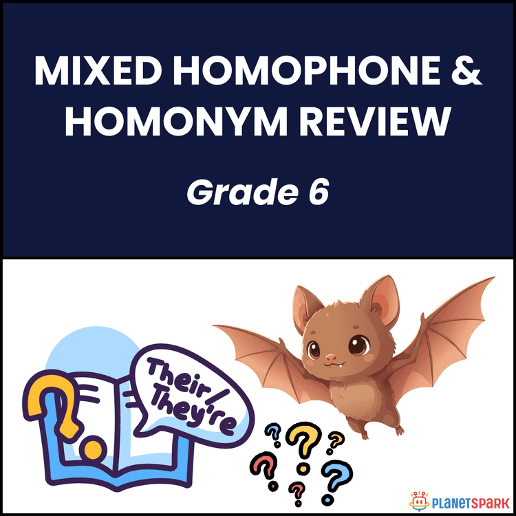 Class 6 Mixed Homophone and Homonym Review Worksheet