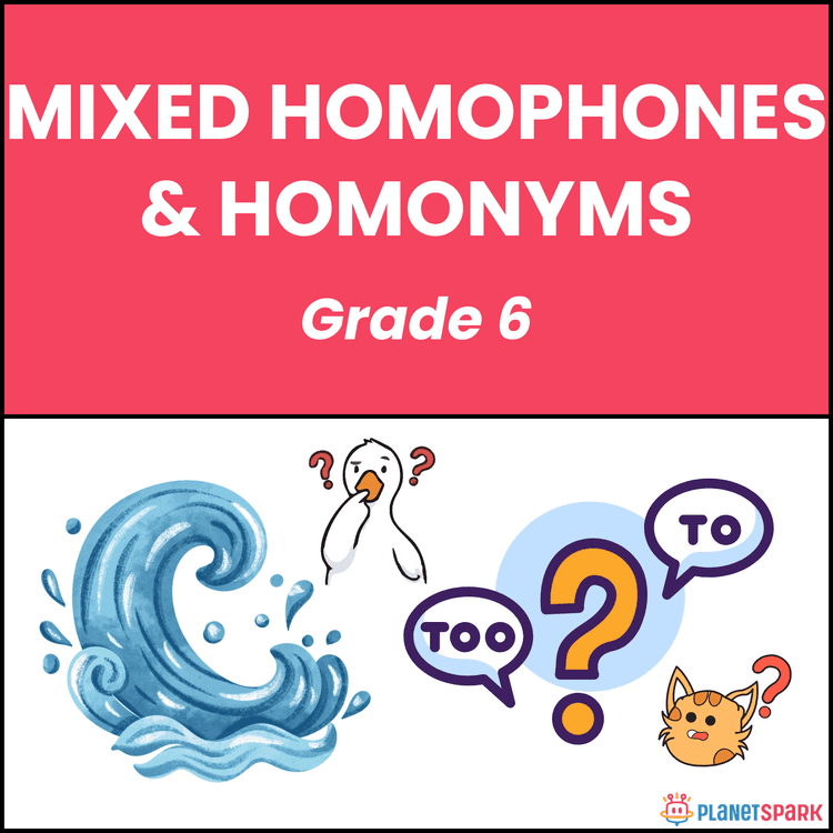 Class 6 Mixed Homophones and Homonyms Worksheet