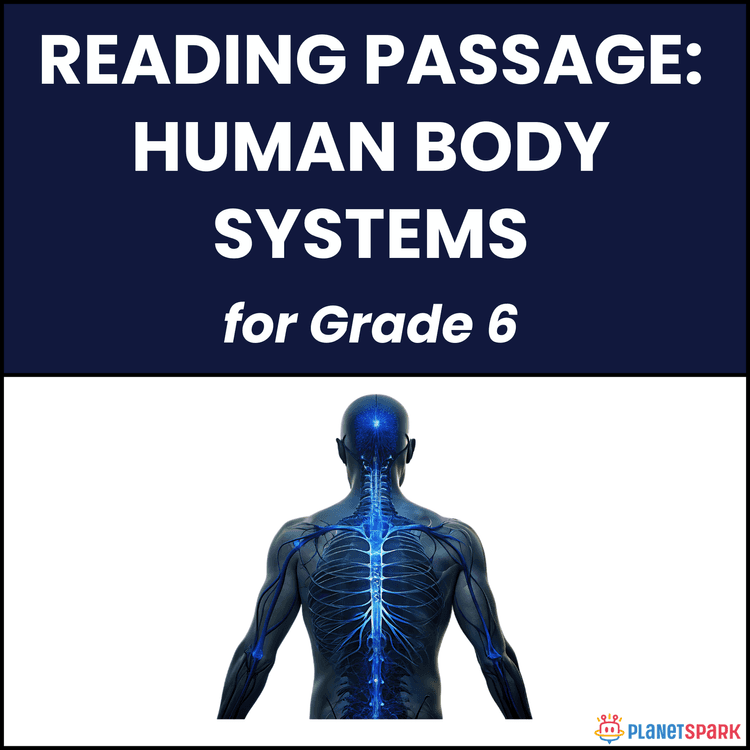 Class 6 Reading Passage on Human Body Systems