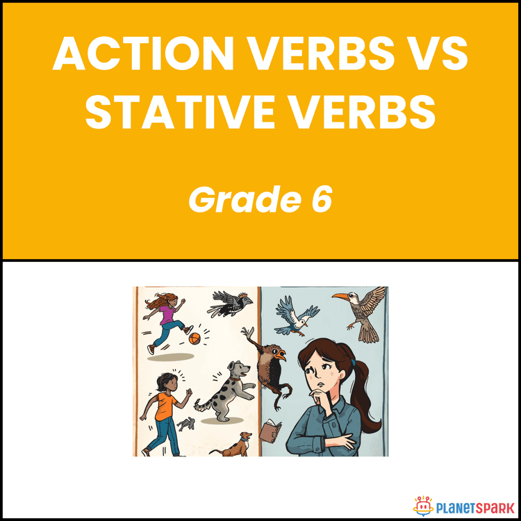 Class 6 Worksheet on Action Verbs vs Stative Verbs