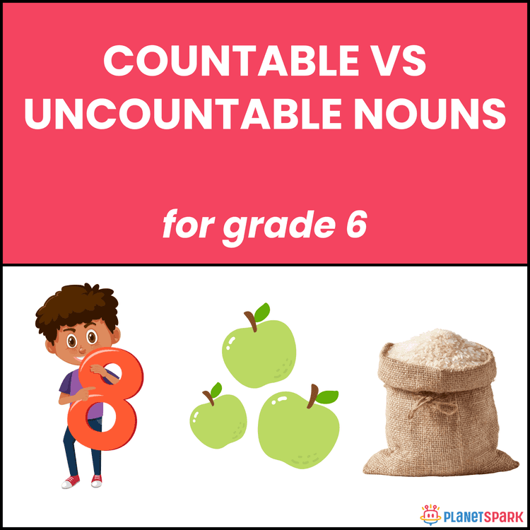 Class 6 Worksheet on Countable vs Uncountable Nouns