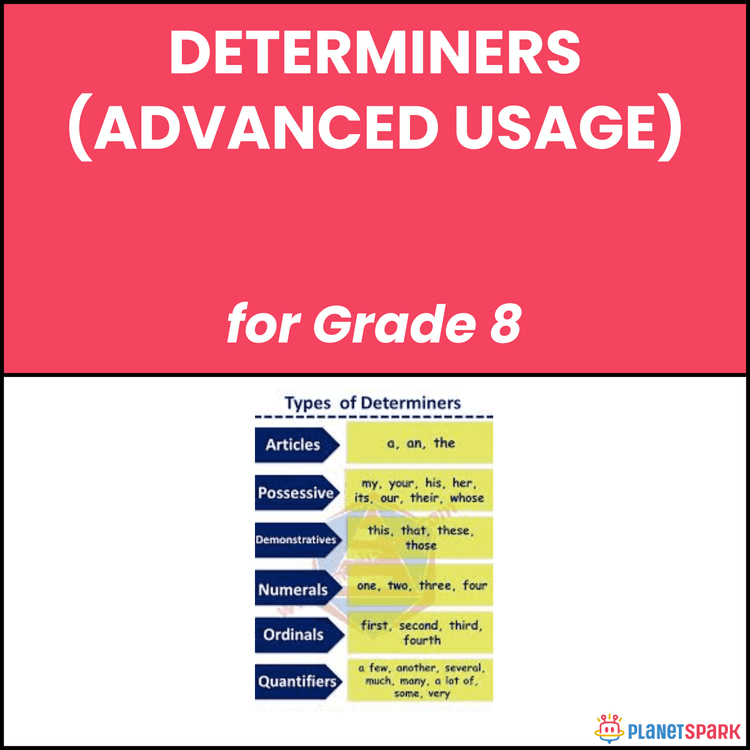 Class 8 Determiners Advanced Grammar Worksheet