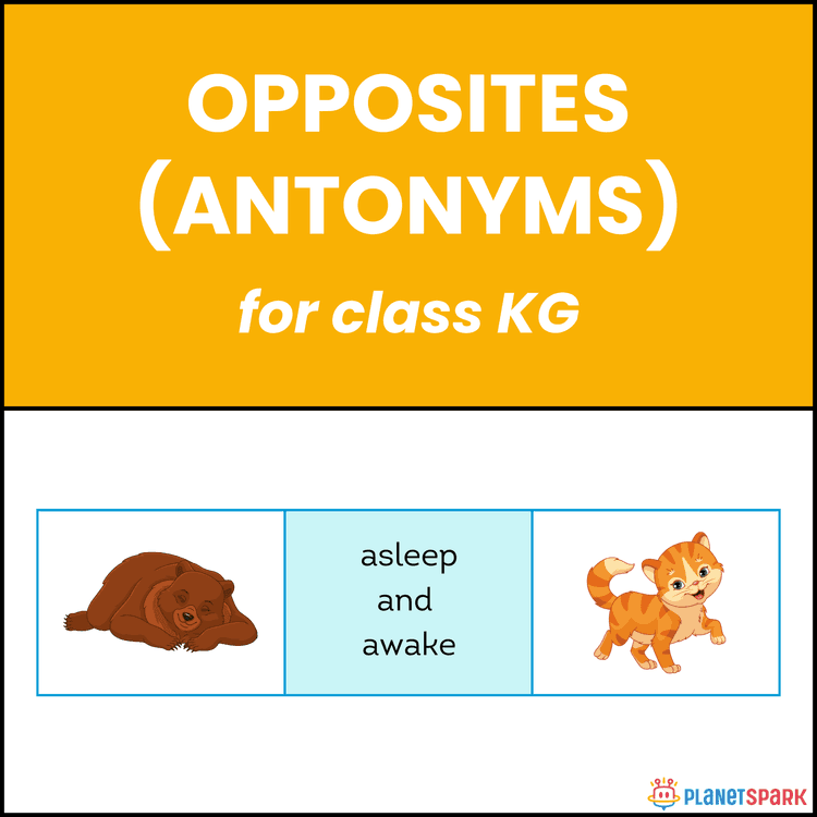 Class KG English Grammar Worksheet: Opposite Words