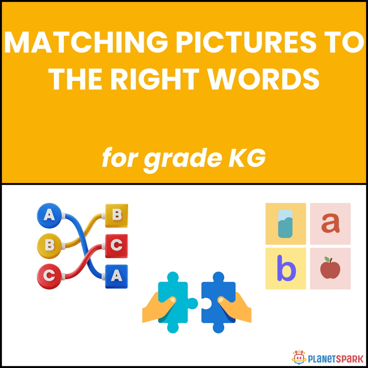 Class KG English Worksheet on Matching Picture to the Right Words