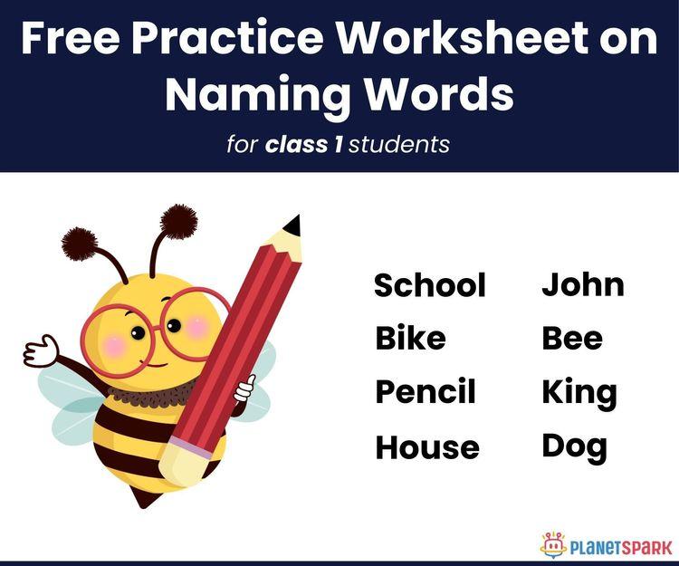Class 1 English Grammar – Nouns in Sentences