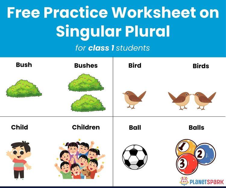 Class 1 Grammar Practice – Singular and Plural