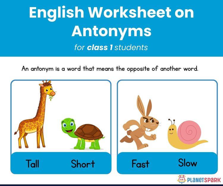 Class 1 Grammar Practice – Antonyms Worksheet