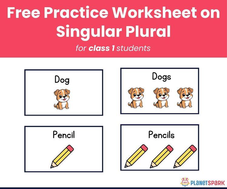 Singular and Plural – Class 1 Grammar Worksheet