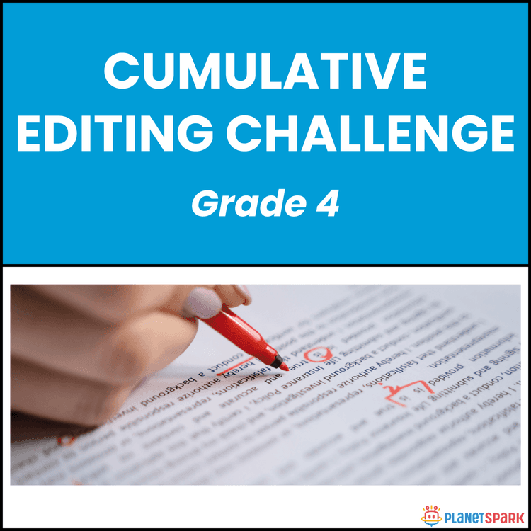 Grade 4 English Grammar Worksheet Editing Challenge
